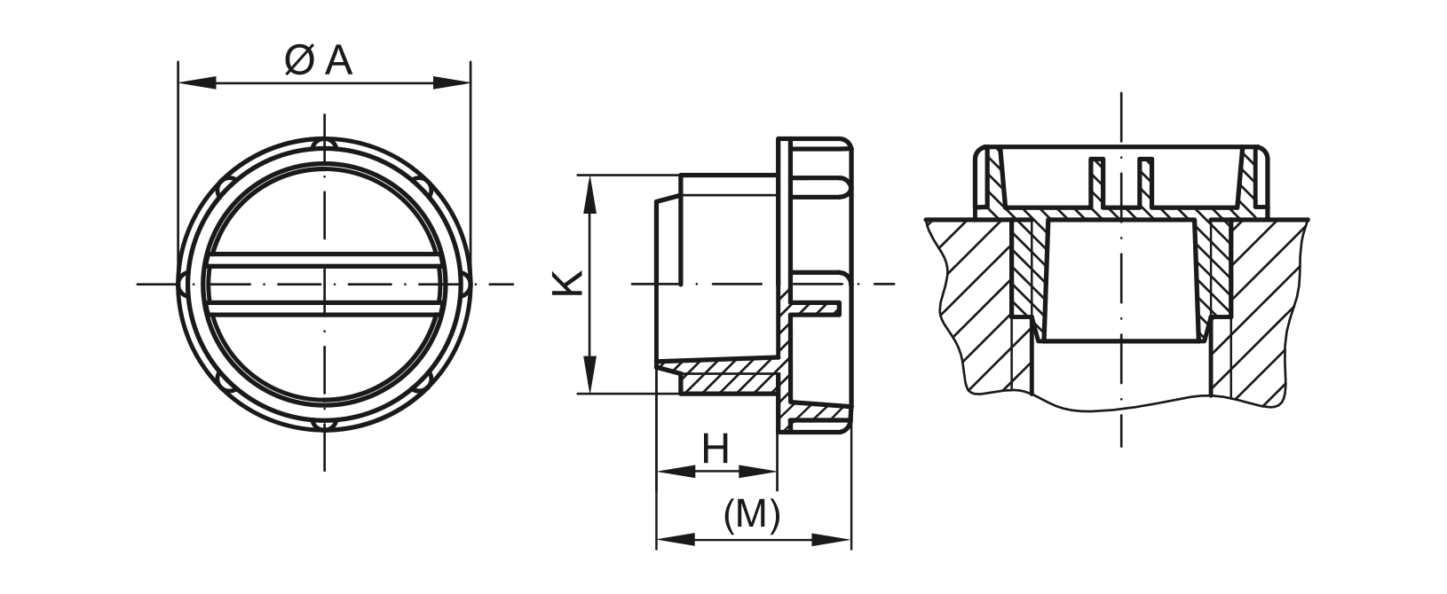 gpn-700-703-schraubstopfen-cad-web