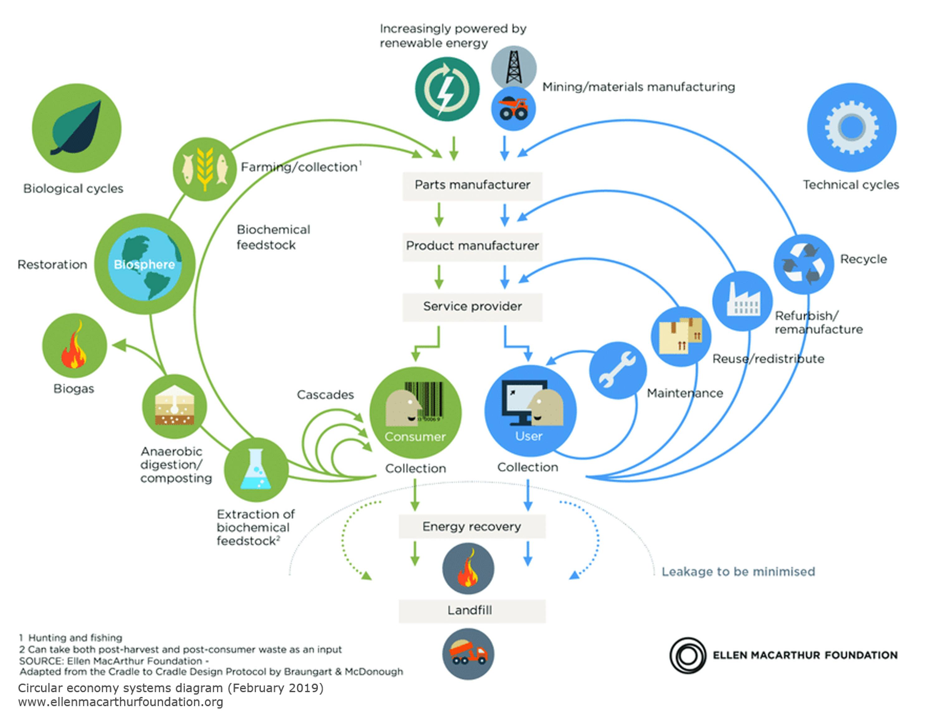 A menudo se hace una distinción entre la economía circular biológica (mostrada en verde) y la economía circular técnica (mostrada en azul). Con PÖPPELMANN blue, implementamos soluciones técnicas para la economía circular.

Fuente: Diagrama del sistema de economía circular de la Fundación Ellen MacArthur (febrero de 2019) www.ellenmacarthurfoundation.org