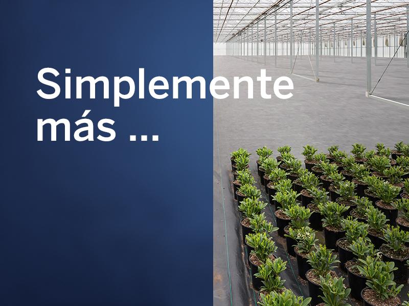 Simplemente más ... teku-es-klinke-gewaechshaus-halb