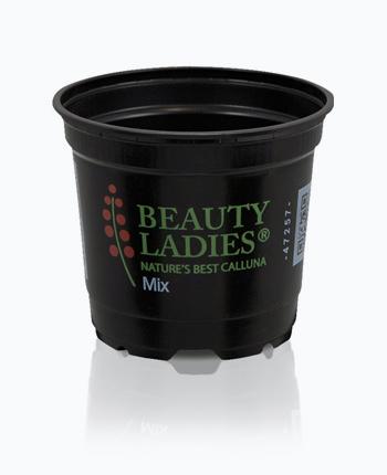 teku-slidershow-beautyladies-blumeentopf-en