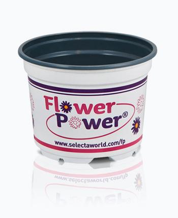 teku-slidershow-flowerpower-blumentopf-en