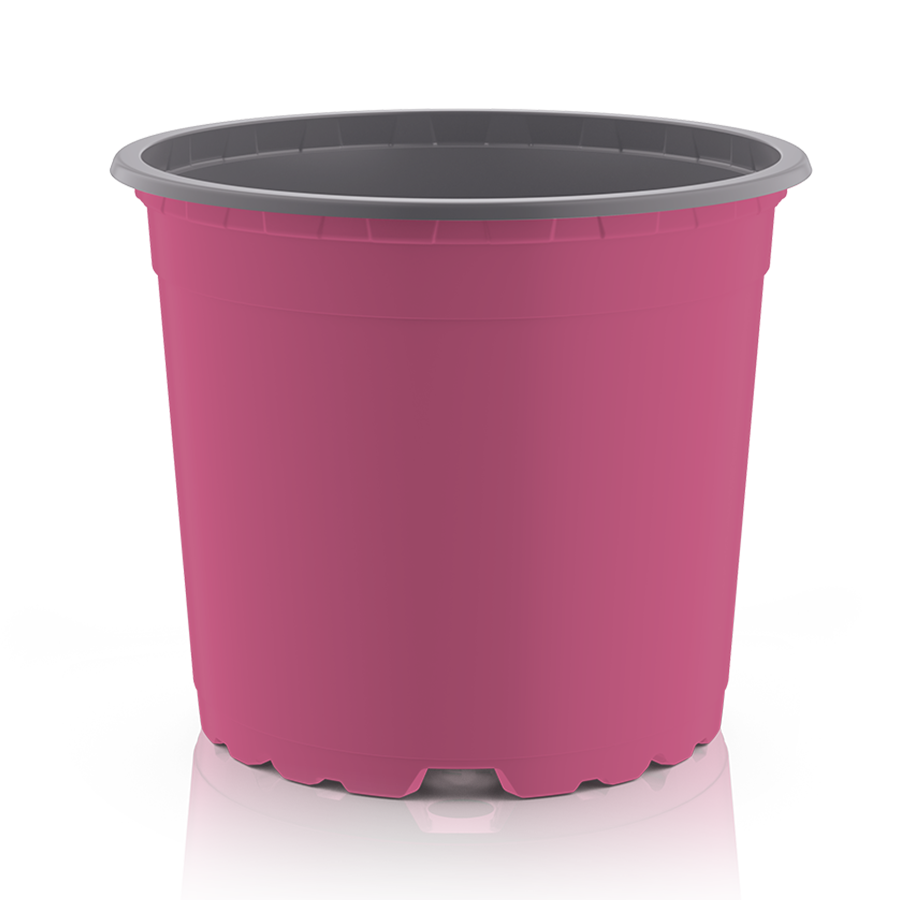 vcg-circular-pink-grau-pr