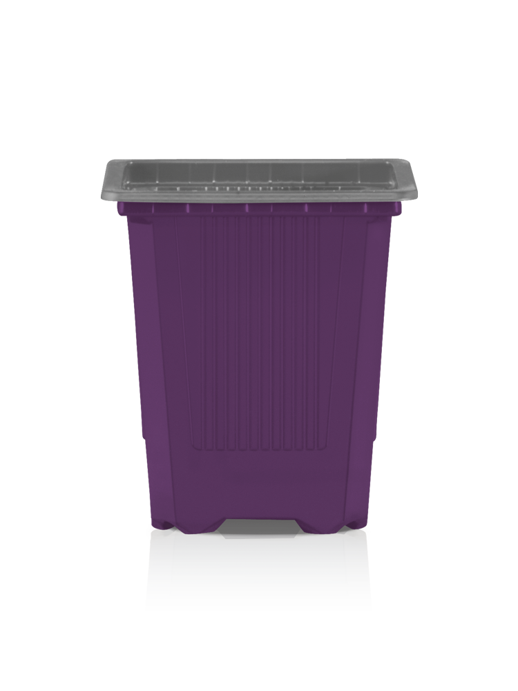 vqf-circular-brombeer-grau-pr-alt