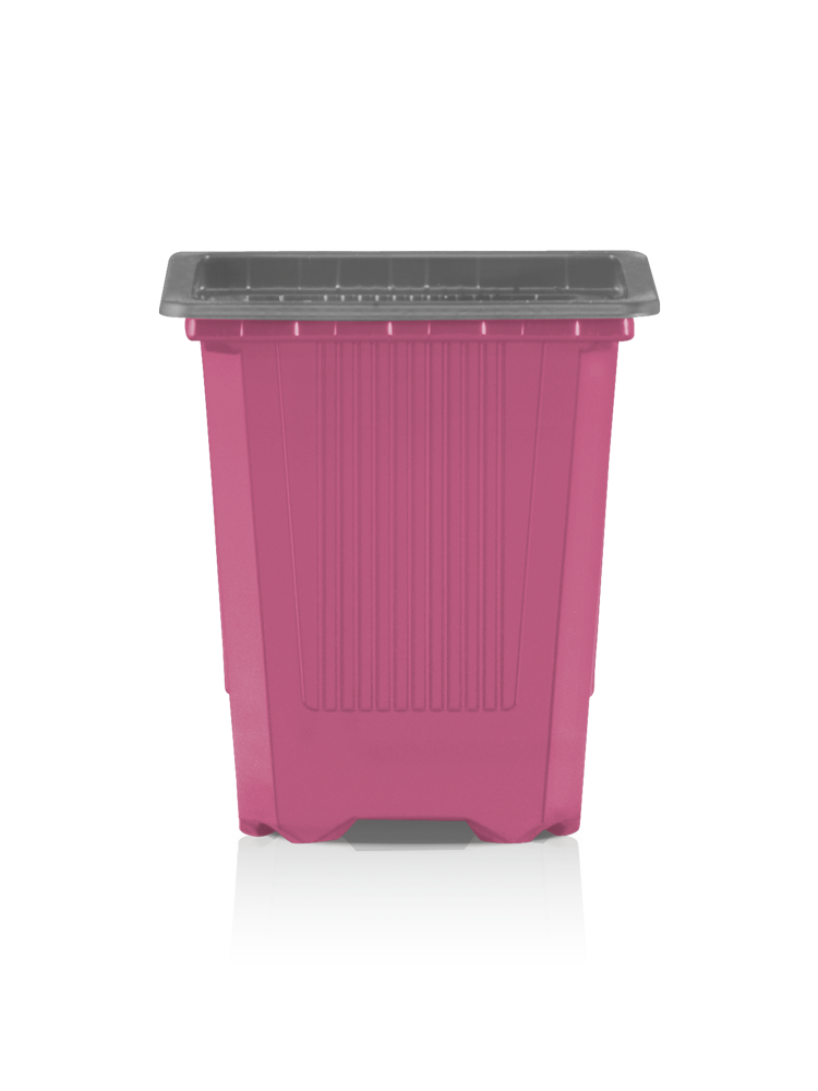 vqf-circular-pink-grau-pr-alt