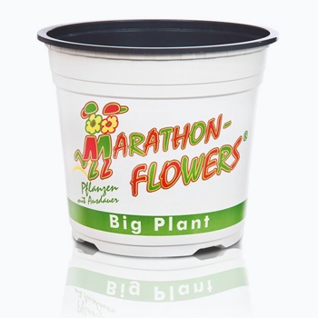 teku-slidershow-marathonflowers-blumentopf-en