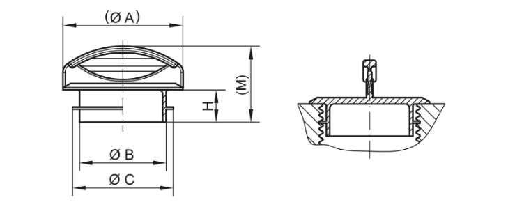 CAO pour site web