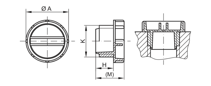 gpn-700-703-schraubstopfen-cad-web