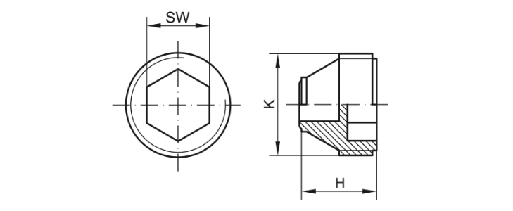 Drawing screw plug - GPN 720 Form B