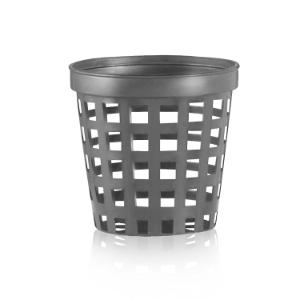 G Línea de base Gris