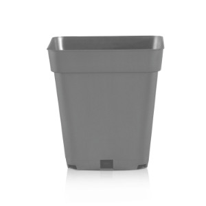 MQA Baseline Gris