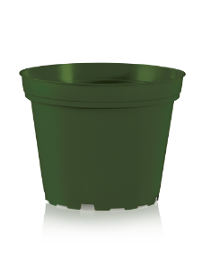 to-d-moosgruen-pr.png