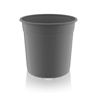 VCC Baseline Gris
