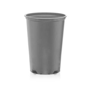 VCE Baseline Gris