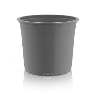 VCG Línea de base Gris