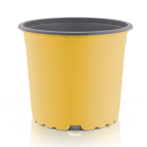 vcg-circular-gelb-grau-pr