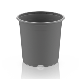 vch-vck-baseline-grau-pr.png