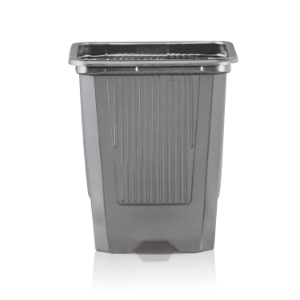 VQB Baseline Gris