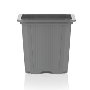 VQF Línea de base Gris