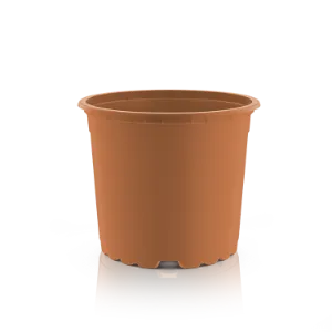 vra-ton-pr.webp