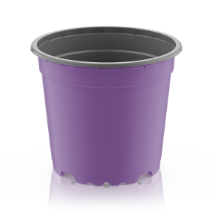vtg-circular-lavendel-grau-pr