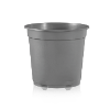 MCH Baseline Gris