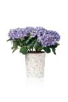 mdf-104-universell-aw.png