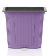 vqf-8x8x7-circular-lavendel-pr