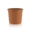 vra-ton-pr.webp