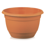 tca-ton-pr.png