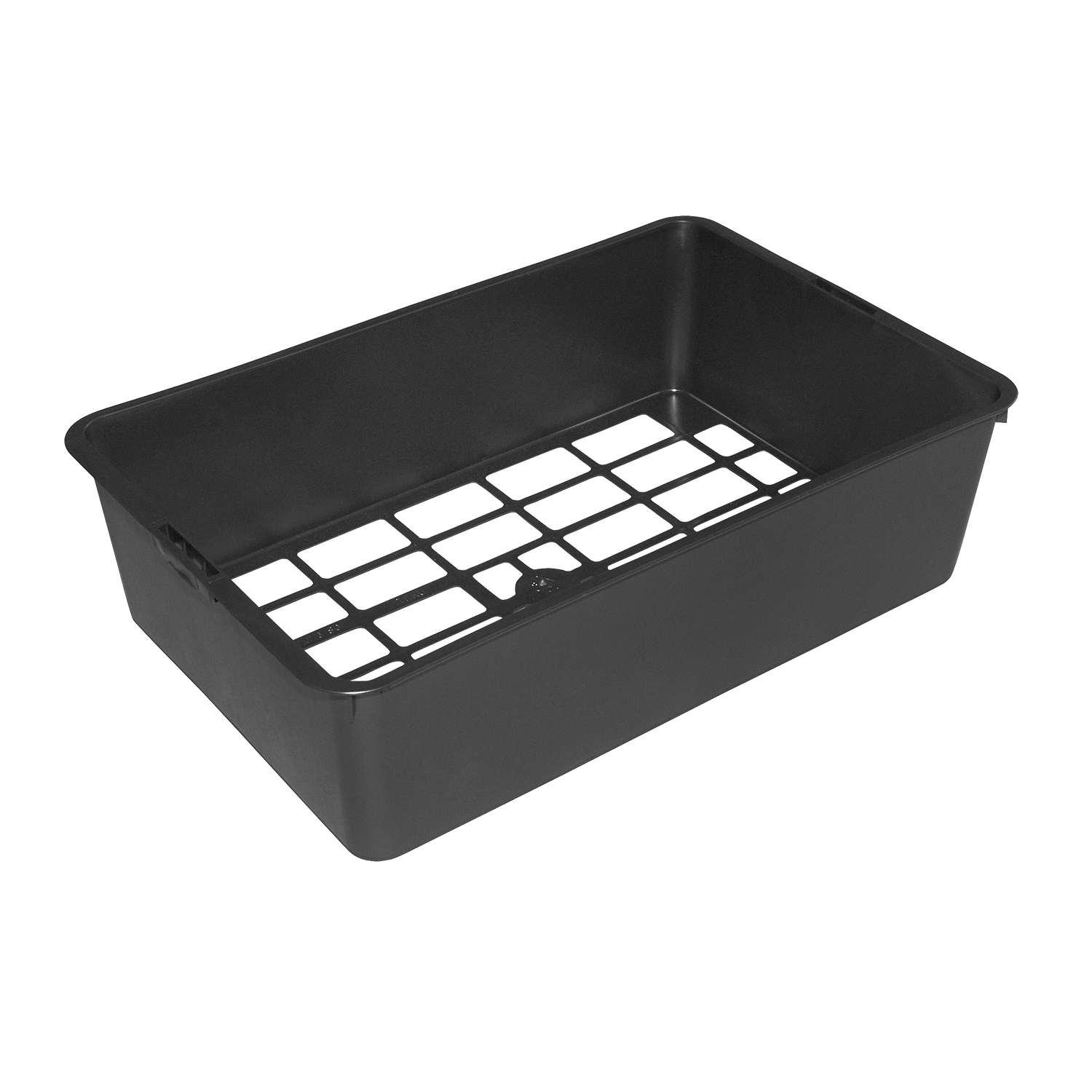 CL 7x7/6 SG