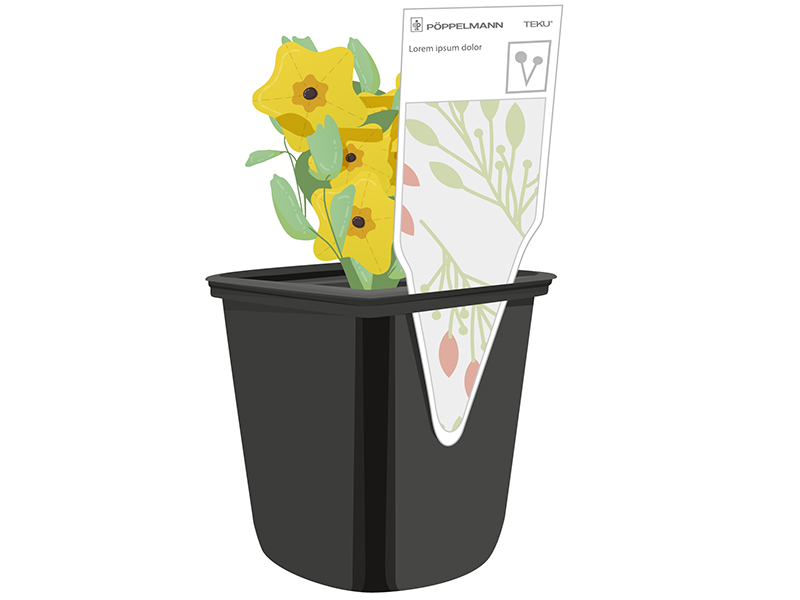 Better plants