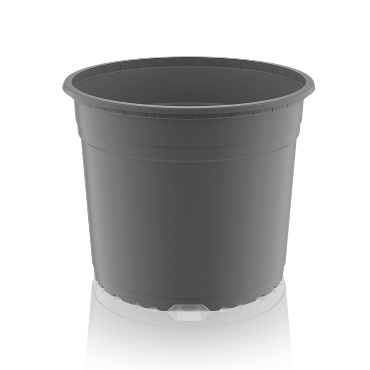 VCD 21 Baseline gris 11308217704