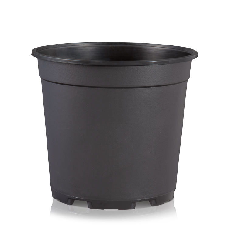 MCL 13 K-C negro 11216330104
