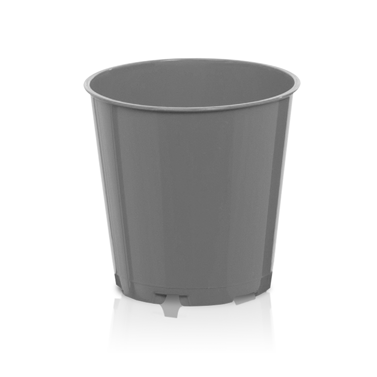 MPB 6 Baseline gris 11217697701