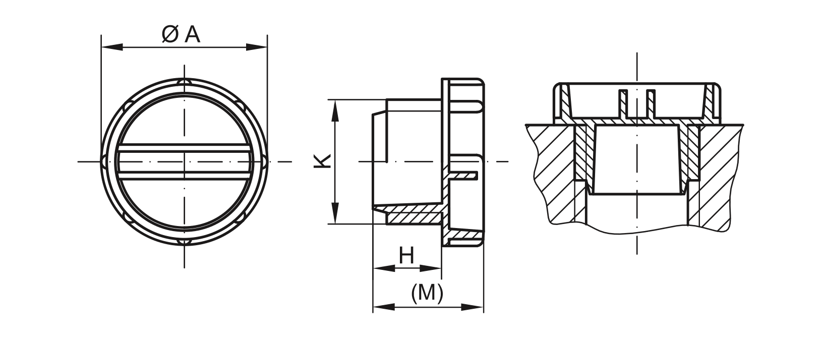 Zeichnung Schraubstopfen - GPN 700