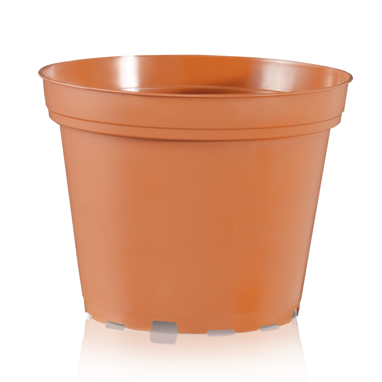 TO 6 D Circular terracotta 11210768001