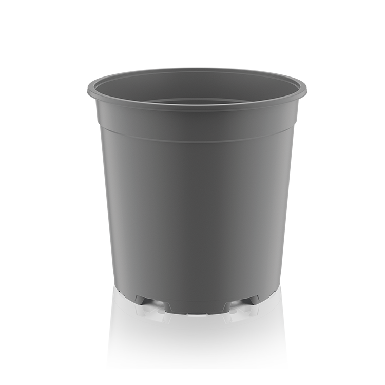 MCL 17 Baseline grey 11215377704