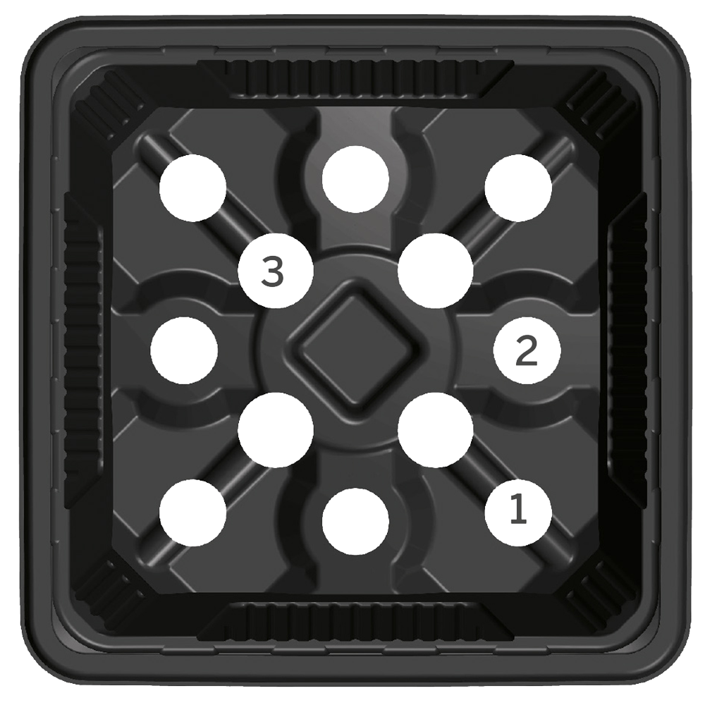 Multi hole profile bottom with central dome XIX